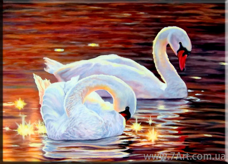 Картины Животных, Art. STUD1511222